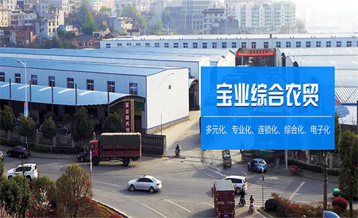 安康市宝业农贸综合市场