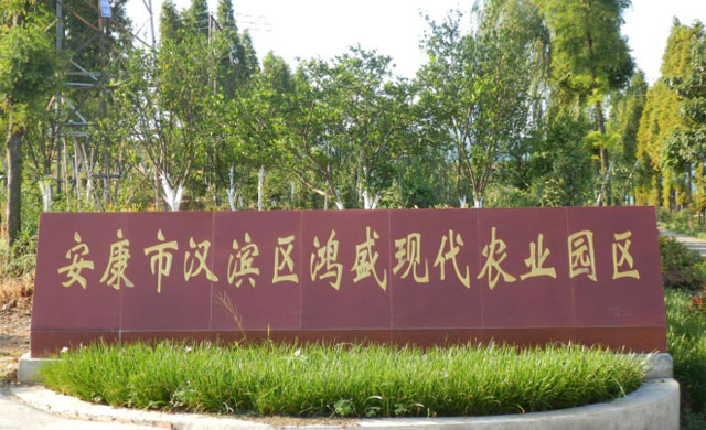 安康市鸿盛有限公司