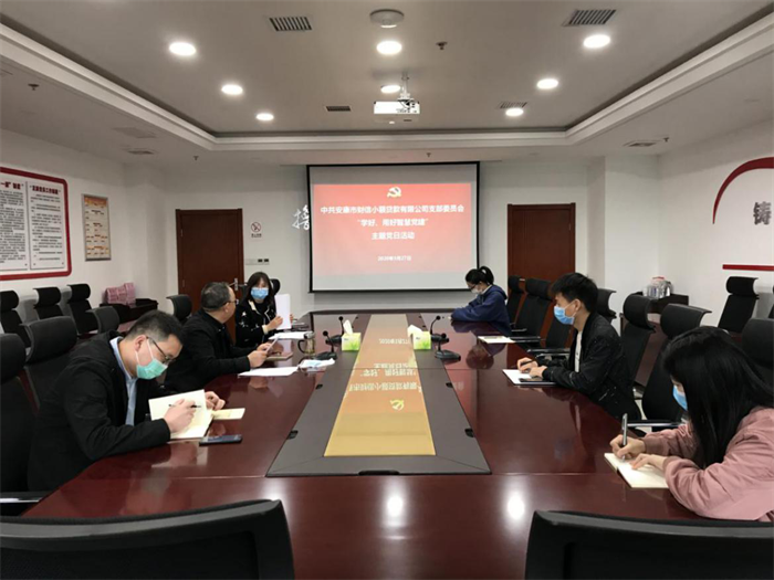 市财信小贷党支部召开党员大会暨 “学好、用好智慧党建”主题党日活动