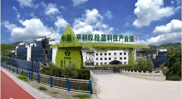 平利县神草园茶业有限公司