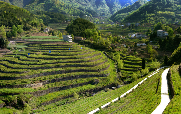 安康市京康现代农业开发有限公司