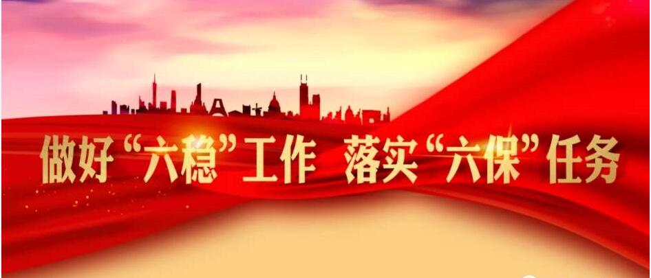 周汉林：在服务安康“六稳六保”大局中展现担当作为