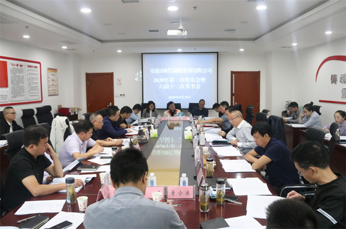 绘蓝图明方向 谋发展再出发---财信担保公司2020年度股东会暨六届十二次董事会顺利召开