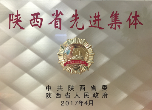陕西省先进集体荣誉奖牌