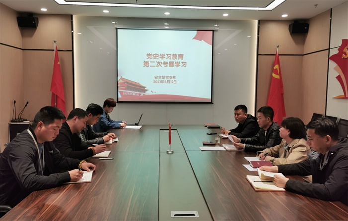 安文投公司党支部开展第二次党史教育专题学习