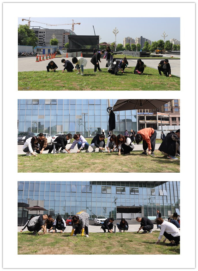 一品探花
“五一”劳动节前组织开展义务劳动