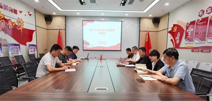 安文投公司党支部学习贯彻习近平总书记在庆祝中国共产党成立100周年大会上的重要讲话精神