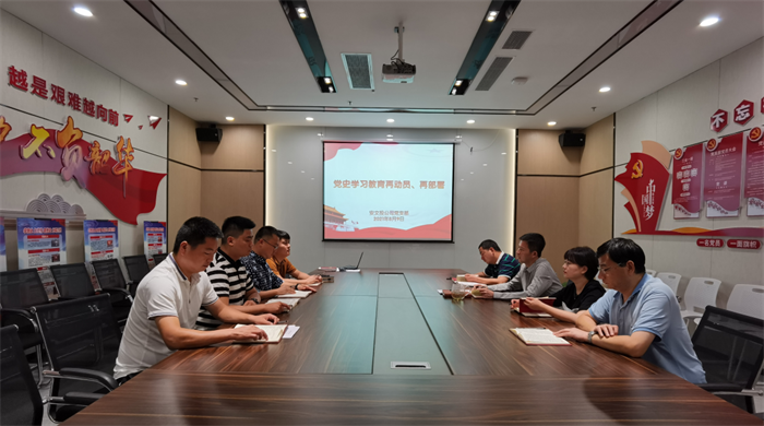 安文投公司党支部对党史学习教育工作再动员再部署