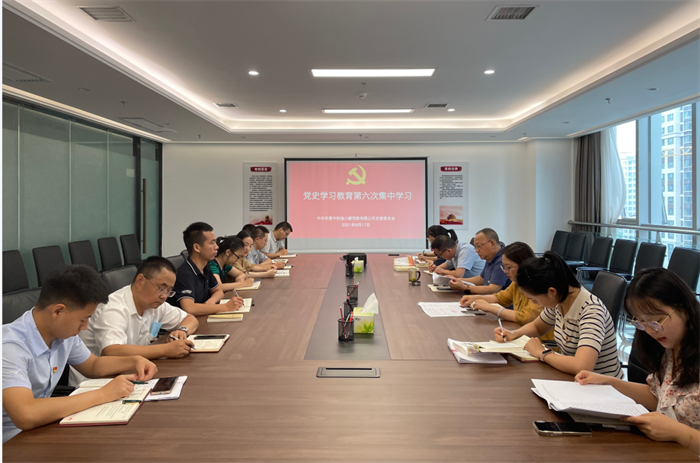 财信小贷党支部开展党史学习教育第六次集中学习