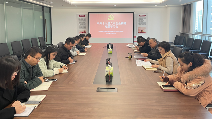 财信小贷公司党支部召开中共十九届六中全会精神专题学习会议