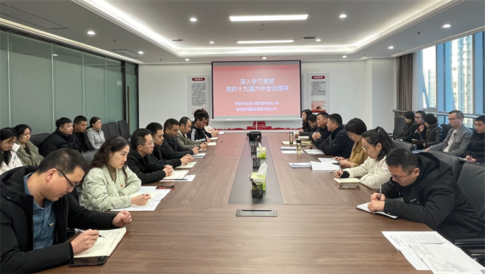 财信小贷公司深入学习贯彻党的十九届六中全会精神