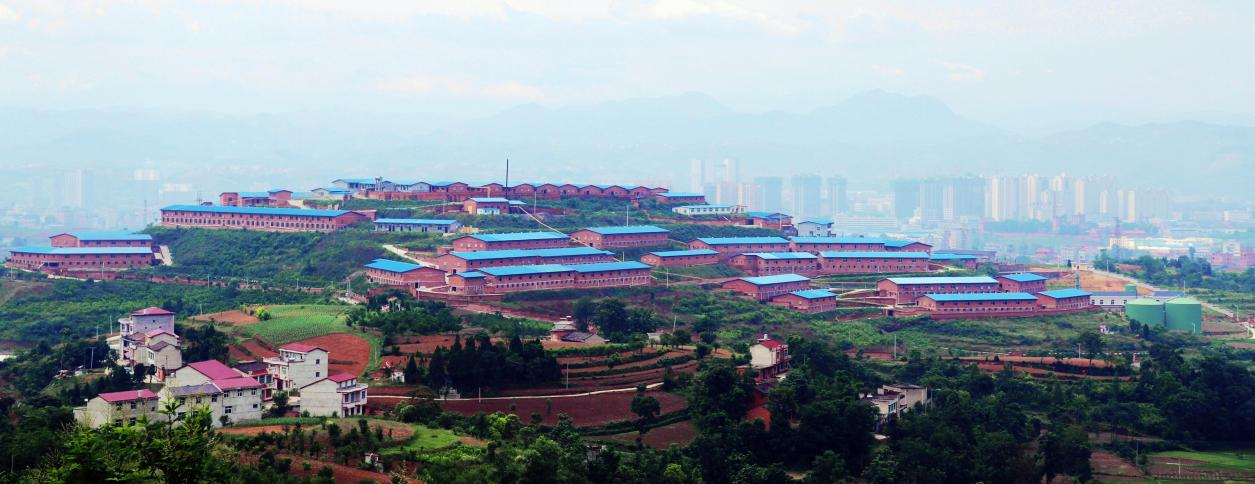 3.市财信担保公司支持建设的阳晨牧业养殖基地