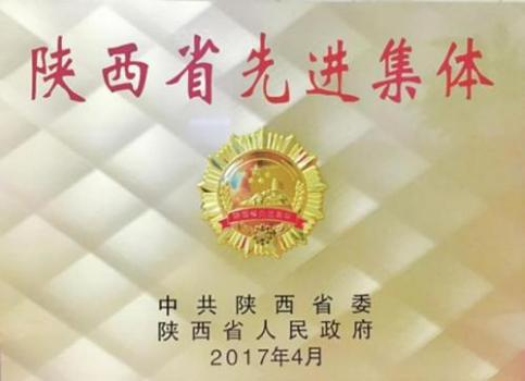 13.市财信担保公司被省委、省政府评为“陕西省先进集体”