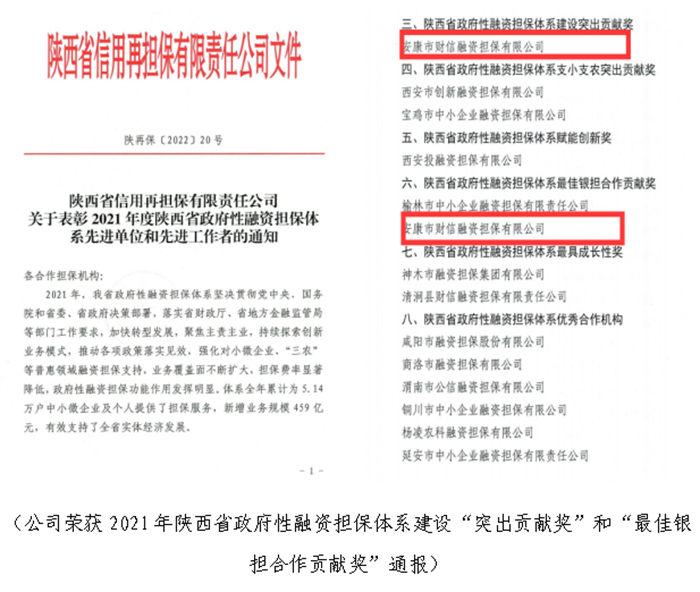 【要闻】喜讯!财信担保公司工作荣获省市四项通报表彰