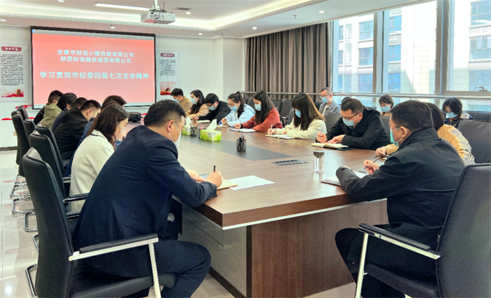 财信小贷和财信融资租赁公司学习贯彻市纪委四届七次全会精神