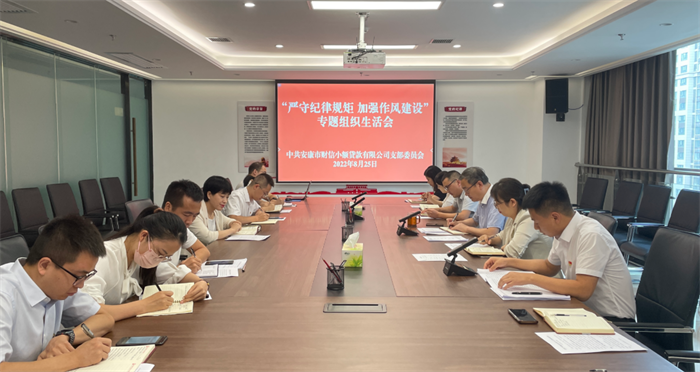 财信小贷公司党支部召开“严纪律规矩 加强作风建设”专题组织生活会