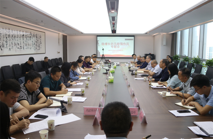 安康财信担保公司召开稳增长防风险强作风专题会议