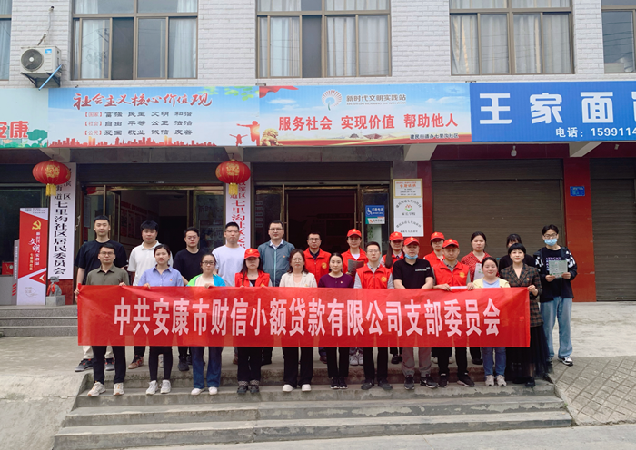 财信小贷党支部开展“弘扬劳动精神 助力创文工作”主题党日活动