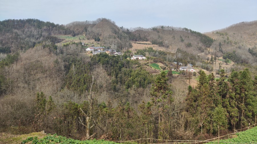 11王家院子禾林山居民宿项目实景图